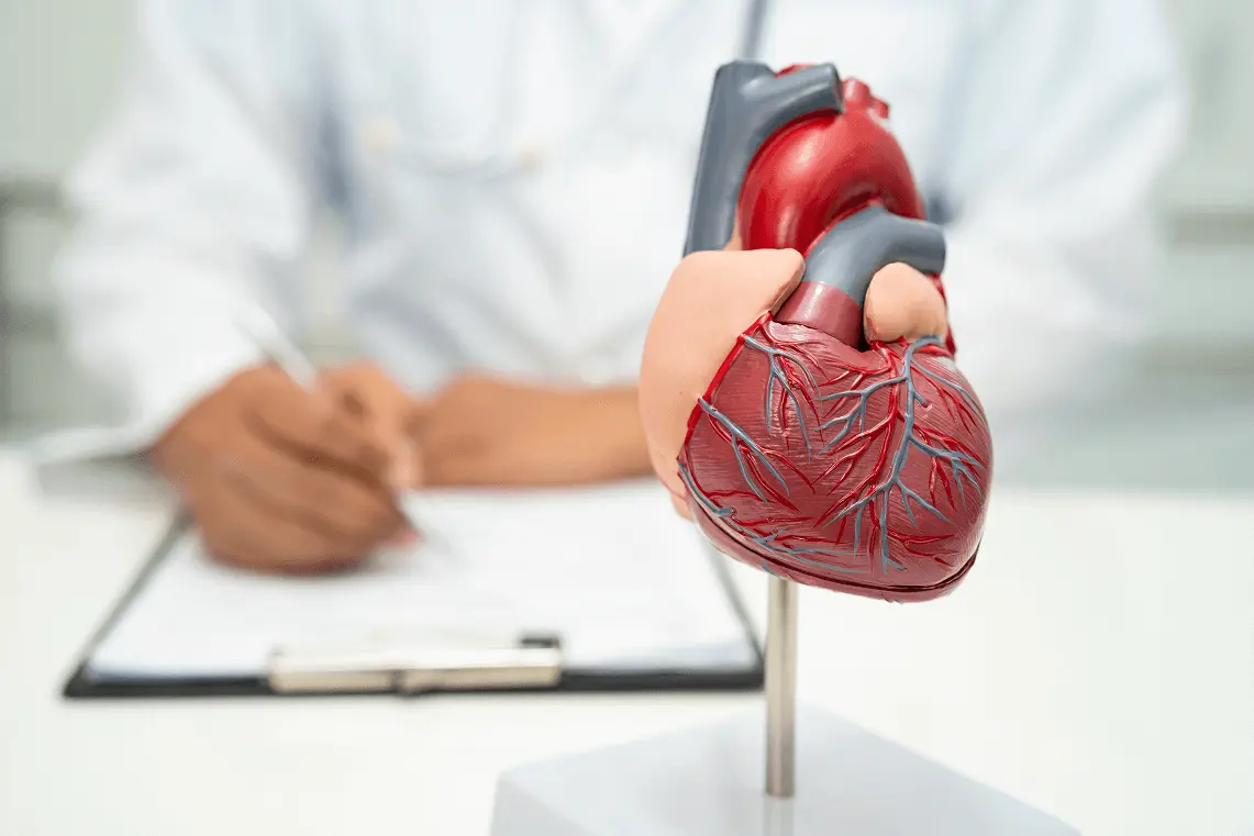 Primo piano di un modello anatomico 3D del cuore umano su un supporto, con un medico in camice bianco sfocato sullo sfondo che scrive su una cartella clinica.